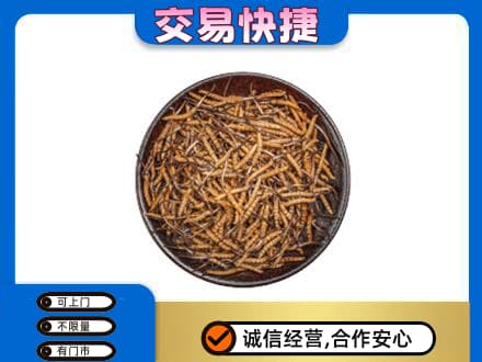延安市回收散虫草